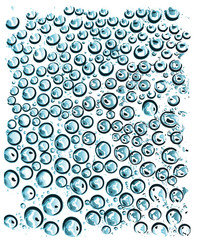 Realistic blue water droplets isolated on the white background Vector illustration