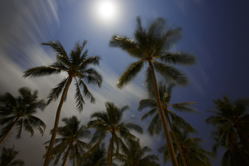 Tropical landscape in the night. Long exposure