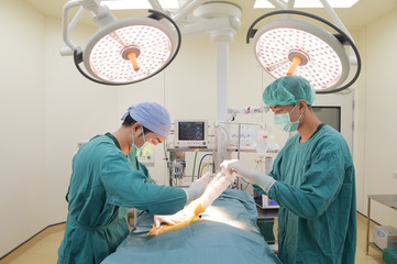 two of veterinarian surgery in operation room