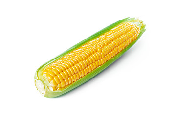 corn isolated on white background
