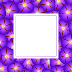 Purple Morning Glory Flower Banner Card