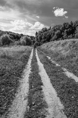path in the hills of the countryside - black and white