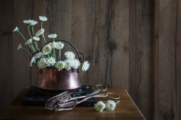 white chrysanthemum on dark wooden background