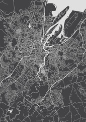 Monochrome detailed plan city of Belfast