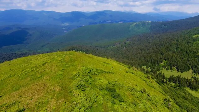 Aerial of a mountain looking like a tortoise shell in the Carpathians in summer