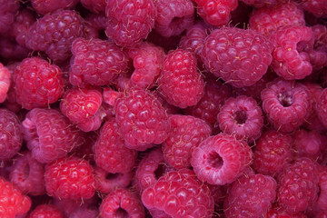 Heap of red raspberries
