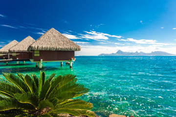Overwater bungalows, Tahiti, French Polynesia - obrazy, fototapety, plakaty