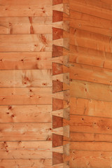 Pine wood carpentry -  Through dovetail joint detail