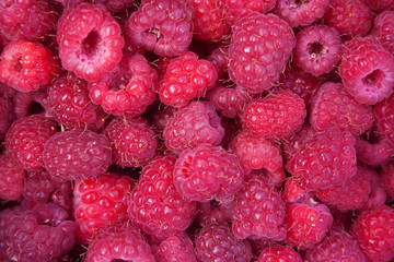 Heap of red raspberries