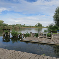lonely beach on the river peene near loitz, mecklenburg-western pomerania germany in summer