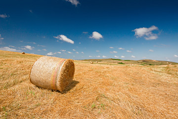 Panoramic view of a wheat field after harvest, with rolled straw bales.