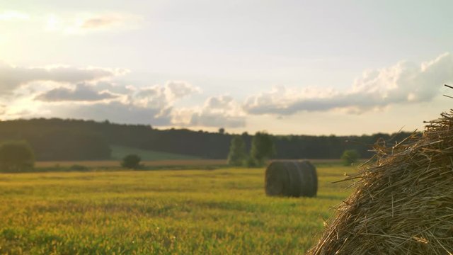 Footage of crop wheat or rye field with hay straw bales, harvest agriculture