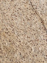 Marble and granite background texture collection for architecture.