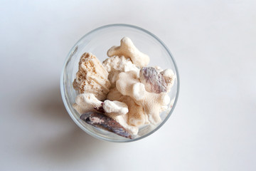 Red sea stones and corals in glass capsule isolated on white background