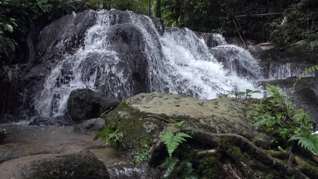 footage of Beautiful waterfall in the national park forest at Phangnga, Thailand.