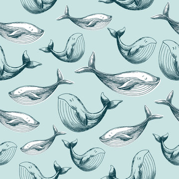 Whale kids seamless pattern. Kids