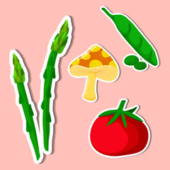set vegetable of simple color illustrations
