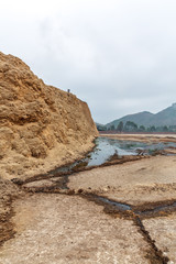 Paper-making raw material bagasse stack yard