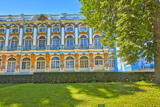 Park of Pushkino. Petersburg.