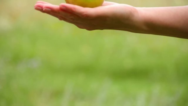 Close-up of an Apple lying in the palm of a woman. A small child reaches out and takes a green Apple from his mother's hand. The concept of happy family and motherhood.