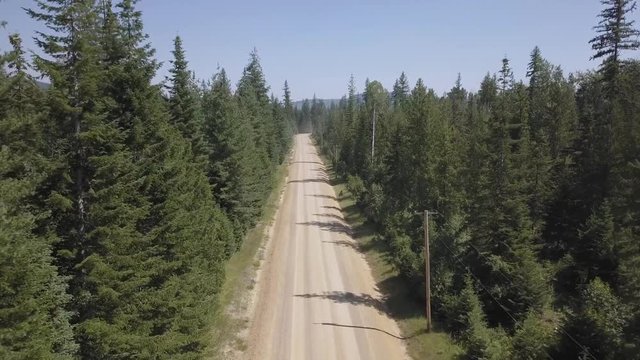 Aerial View Dirt Road with Trees on Both Sides Descending Moving Forward