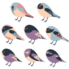 cartoon feathered and winged birds collection