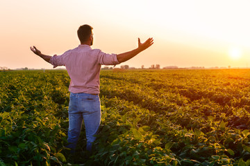 Portrait of young farmer standing in soybean field with his arms outstretched at sunset.