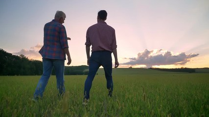 Back view of old father talking with his adult son and walking together on wheat field, beautiful sunset in background - Powered by Adobe