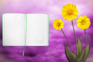 Beautiful live coreopsis with opened note book with blank place for your information on left on colored sky with clouds background. Floral spring or summer flowers concept.