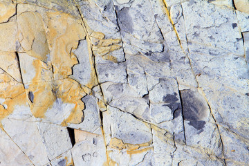 Close up stone surface texture with cracks. Sea limestone.