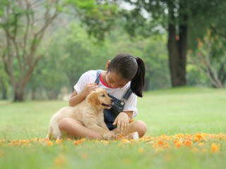 Fototapeta premium Little asian girl playing with a cute golden retriever dog in the park.