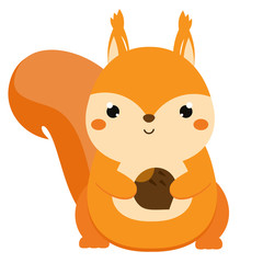 Cute squirrel holding nut. Cartoon forest animal isolated on white