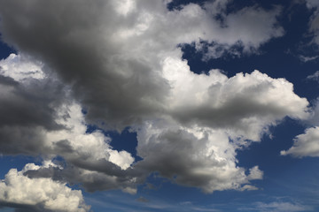 Obraz premium the evening blue sky with white clouds. the sun hides behind the clouds. rays of the sun at sunset illuminate different colors of fluffy clouds.