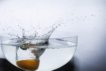 orange in water