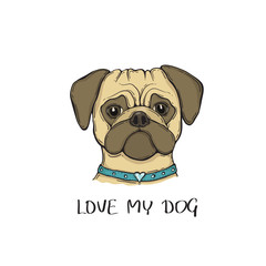 Head Dog pug with the collar, hand-painted portrait. Love my dog slogan.