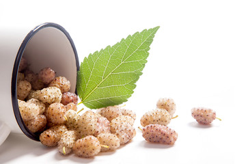 White cup with white mulberry fruit and leaf isolated on white.