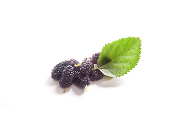 Heap of black mulberry fruit with leaf isolated on white.