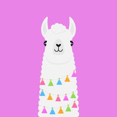 Llama, white fluffy alpaca vector graphic illustration, isolated on violet background. Llama head with colorful tassels on string around neck.