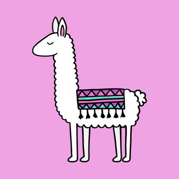 Hand drawn white llama with patterned fringed blanket. Cute furry llama animal vector illustration on violet background.