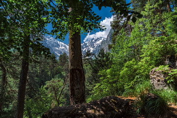 Tsej gorge, mountains of the Caucasus.