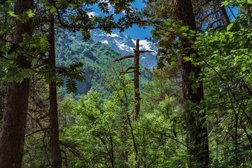 Tsej gorge, mountains of the Caucasus.