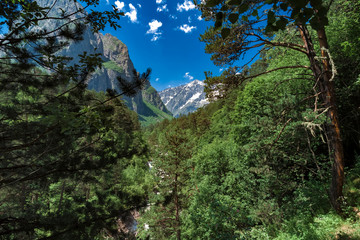 Tsej gorge, mountains of the Caucasus.