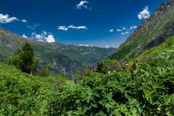 Tsej gorge, mountains of the Caucasus.