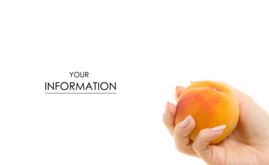 Peach in hand pattern on white background isolation
