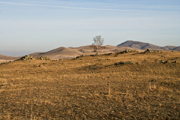 Loneliness. Одиночество