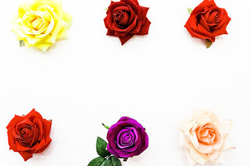 red in purple roses on a white background
