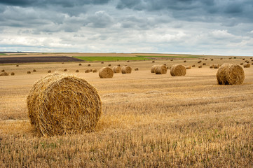 hay bales on autumn field after harvest