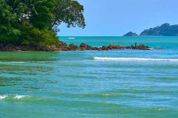 Tropical green trees and palms near stones at ocean coast with turquoise color water and clean blue sky.