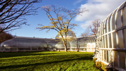 : Bright autumn day at the botanic gardens in the West End of Glasgow.