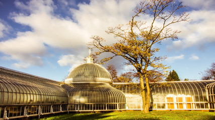 : Bright autumn day at the botanic gardens in the West End of Glasgow.